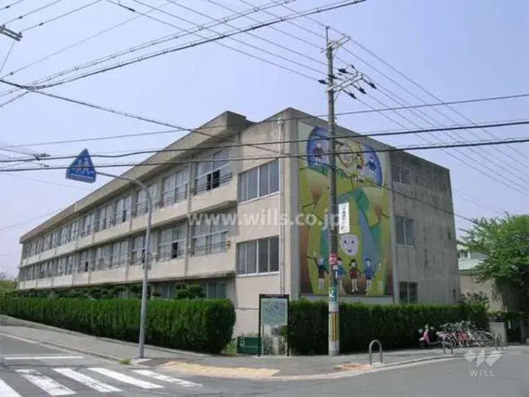 Slide 6