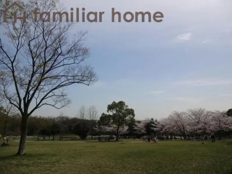 Slide 6