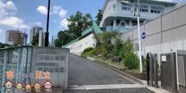 Slide 15