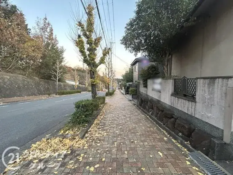 Slide 5