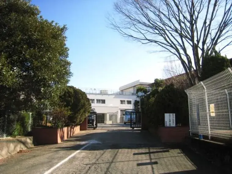 Slide 8