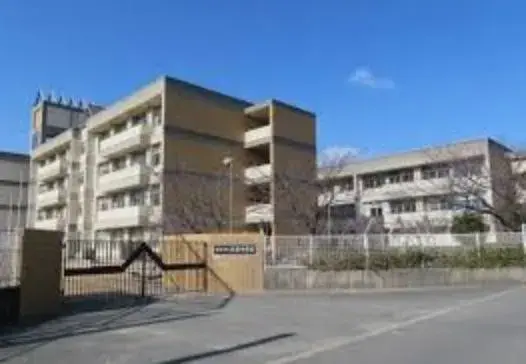 Slide 7