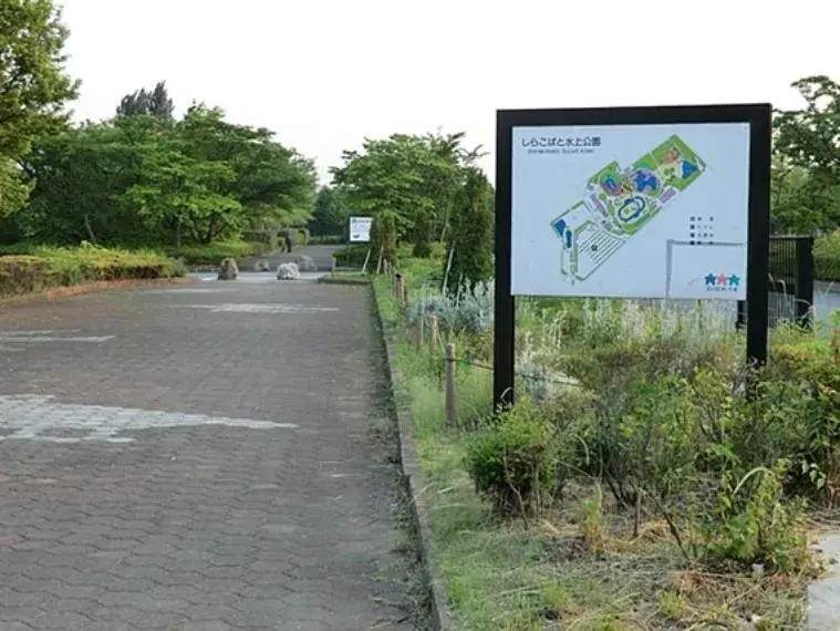 Slide 5