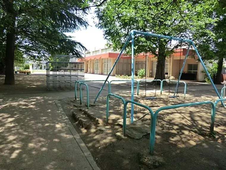 Slide 5