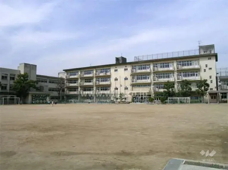 Slide 8