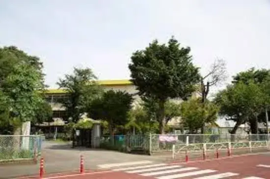 Slide 6