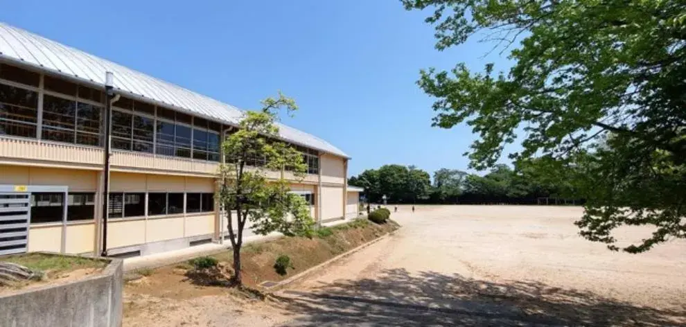 Slide 6