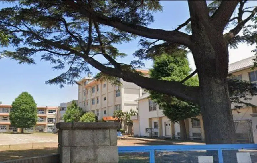 Slide 15
