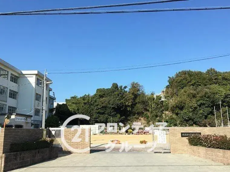 Slide 19