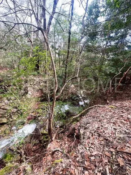 Slide 8