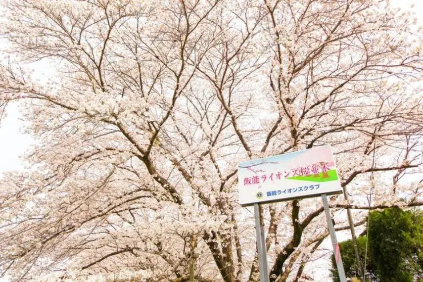 Slide 25