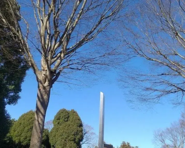 Slide 14
