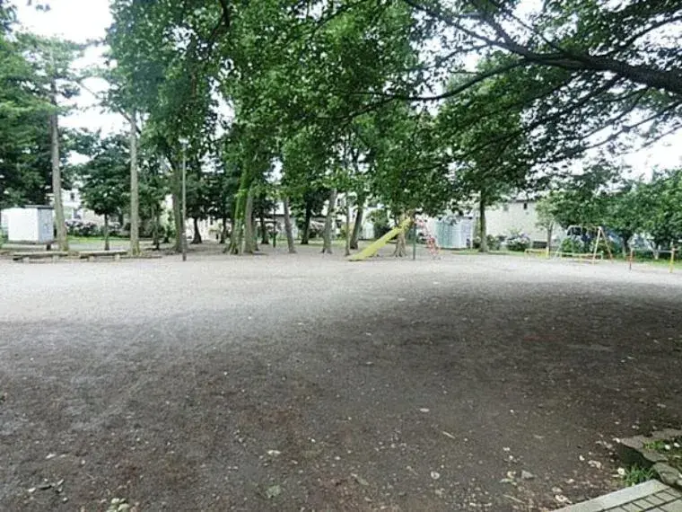 Slide 6