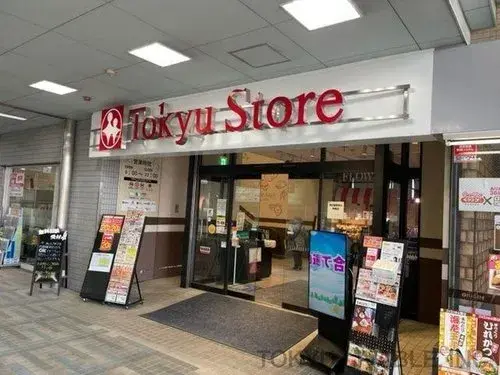 4LDK+S Property Shinagawa-ku Tokyo (14)