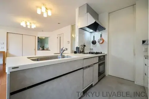 4LDK Property Yokohama City Kanagawa Prefecture (14)