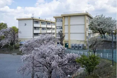 4LDK Property Kawasaki City Kanagawa Prefecture (11)