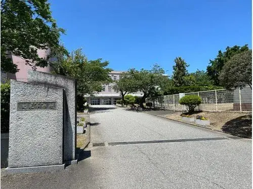 Slide 4