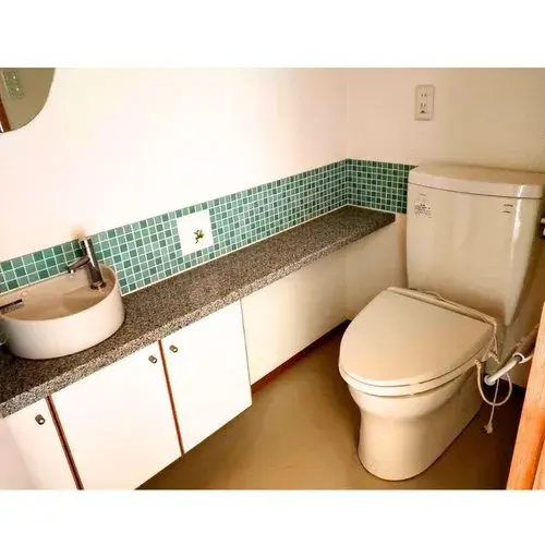 2LDK Property Okayama City Okayama Prefecture (15)