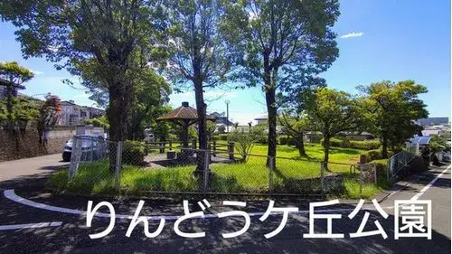 Slide 17
