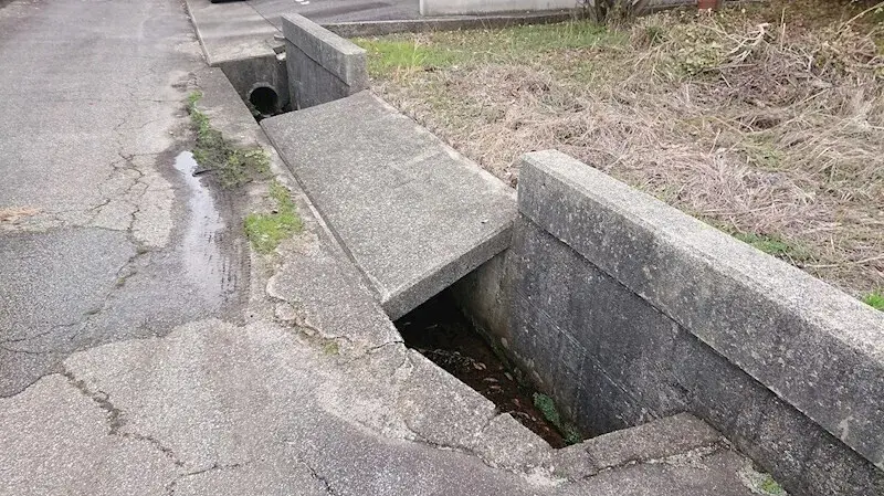 Slide 5