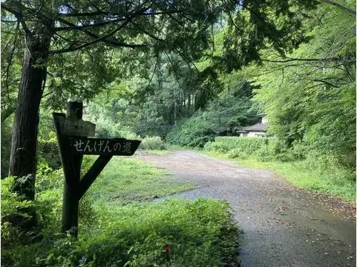 Slide 4