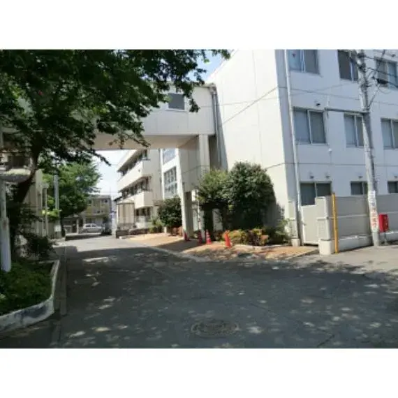 Slide 7