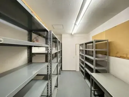 Slide 5