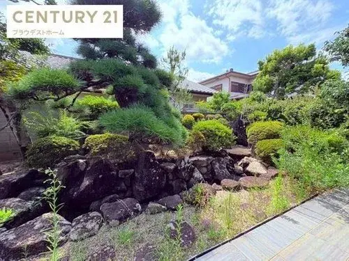 Slide 3