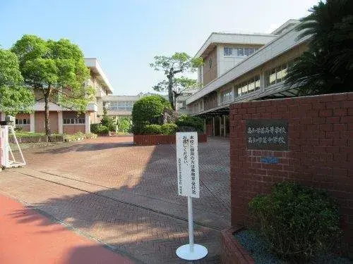 Slide 5