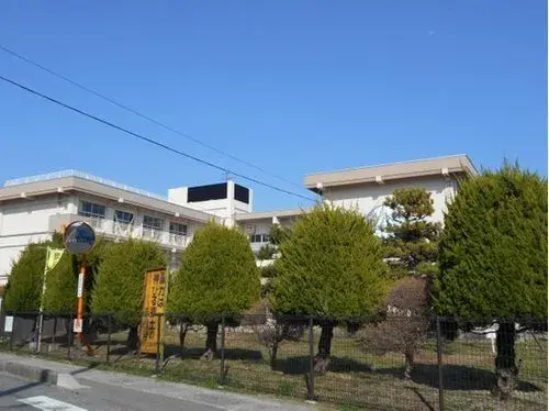Slide 4