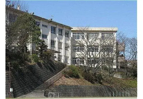 Slide 0