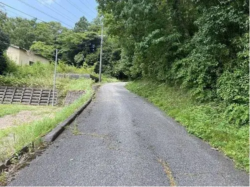 Slide 3