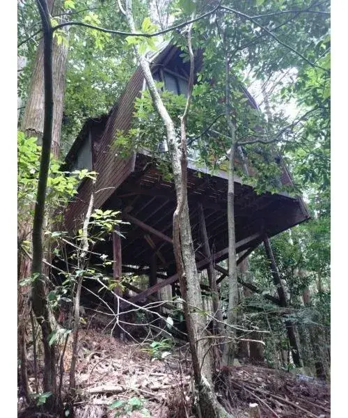 Slide 1