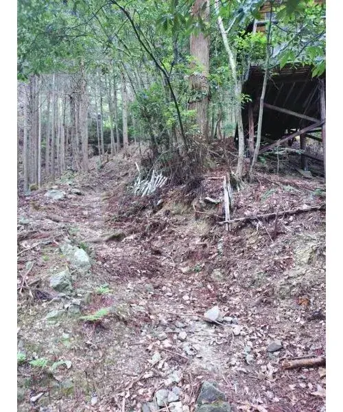 Slide 5