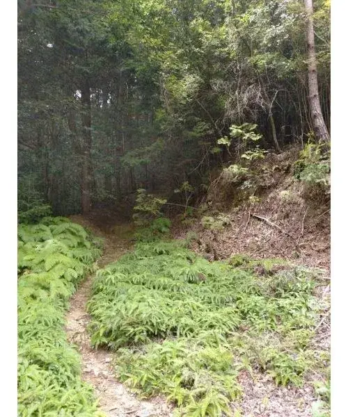 Slide 6