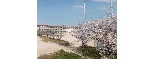 4LDK房产 宫崎市 宫崎县 (26)