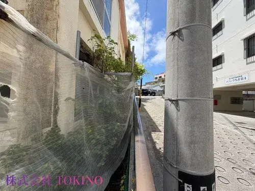 Slide 12