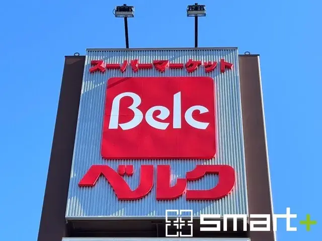 4LDK Property Abiko City Chiba Prefecture (28)