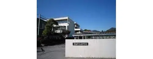 Slide 8
