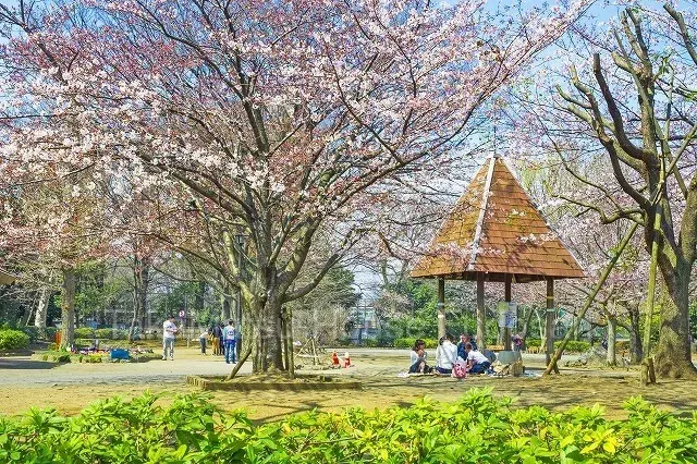 2SLDK Property Setagaya-ku Tokyo (22)