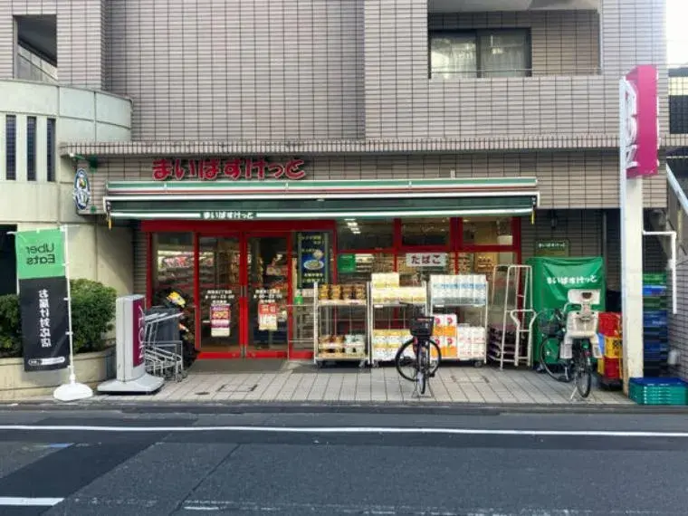 2LDK+S Shinjuku-ku Tokyo (5)