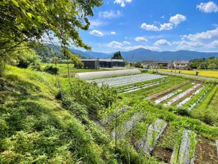 5DK Property Yufu City Oita Prefecture (21)