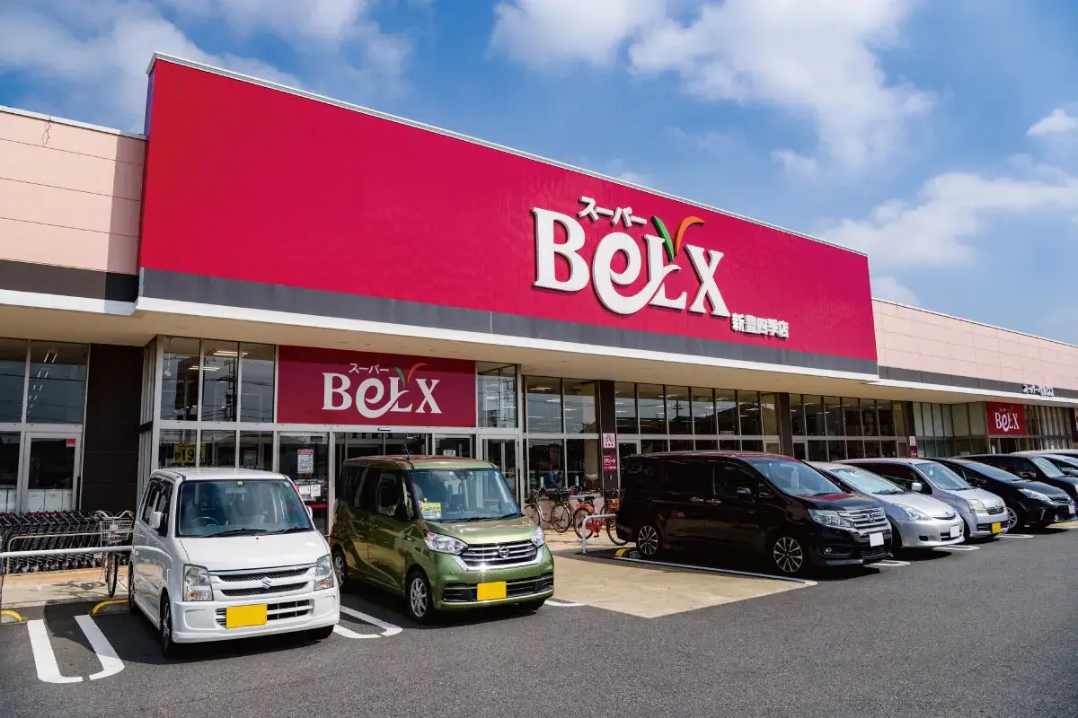 4LDK Nagareyama City Chiba Prefecture (7)