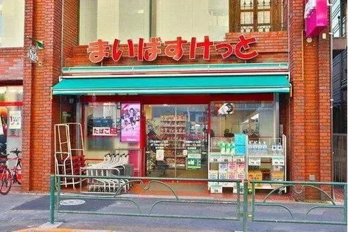 4LDK Adachi-ku Tokyo Property (18)