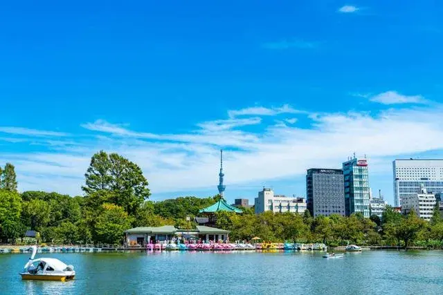 8LDK Taito Ward Tokyo Property (17)