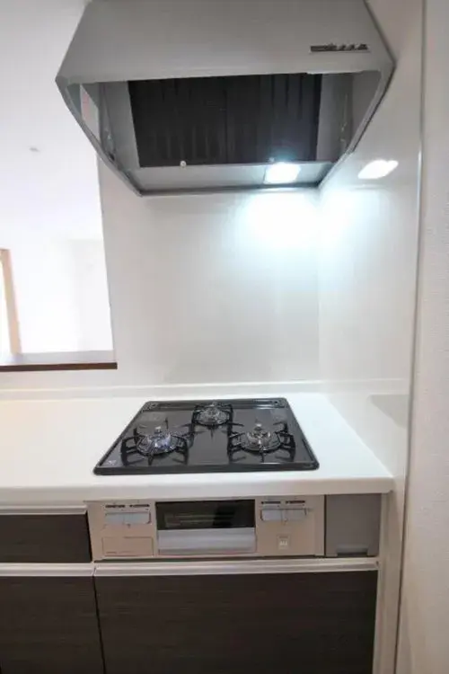 4LDK Property Kawagoe City Saitama Prefecture (16)