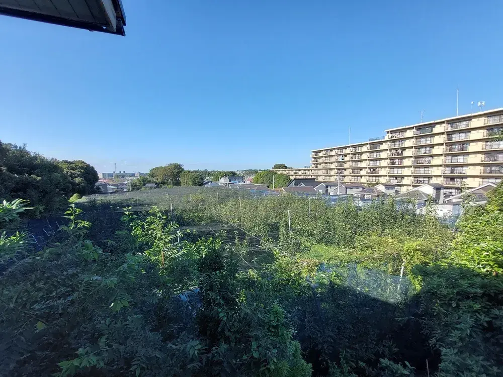 3DK Property Ichikawa City Chiba Prefecture (4)
