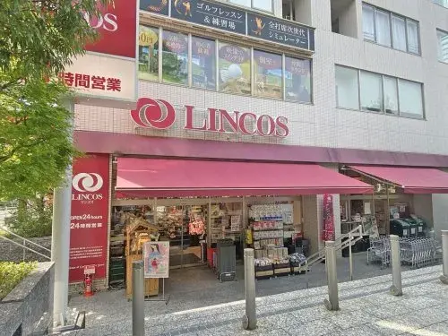 4LDK Property Minato Ward Tokyo (20)