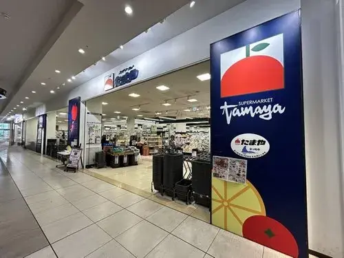 Недвижимость 4LDK Город Тигасаки Префектура Канагава (8)
