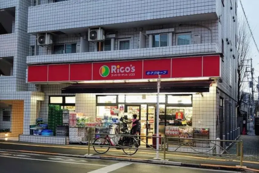 3LDK Property Bunkyo-ku Tokyo (11)